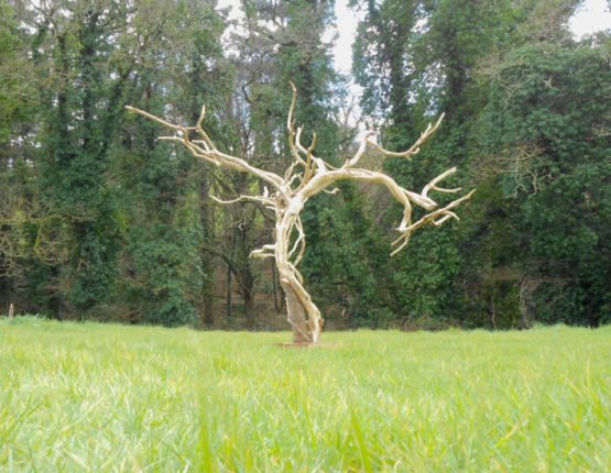 Sculpture arbre decoratif 1 Sculpture arbre décoratif