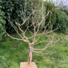 Sculpture arbre decoratif Sculpture arbre décoratif