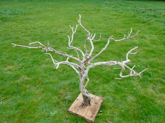 Sculpture arbre decoratif 2 Sculpture arbre décoratif