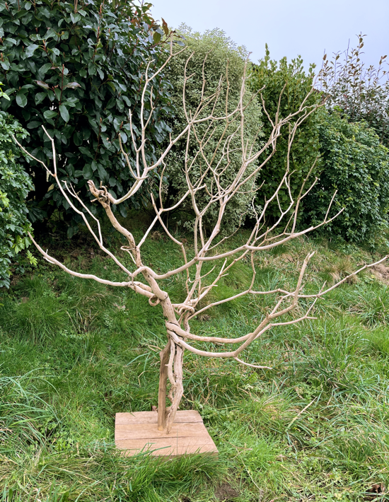 Sculpture arbre decoratif Sculpture arbre décoratif