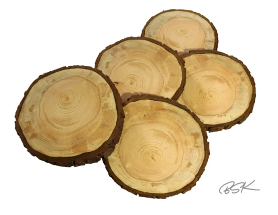 dessus présentoir gateaux en bois