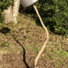 Lampadaire en bois sur mesure