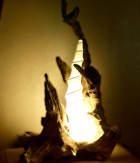 Lampe en bois unique