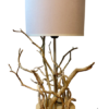 lampe de chevet en bois sauvage